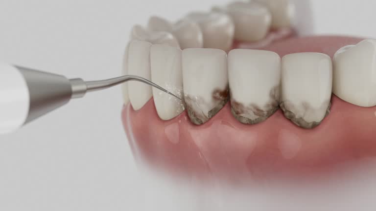 Reliable Dental contractor in Calabasas, CA by Dentist Open Now